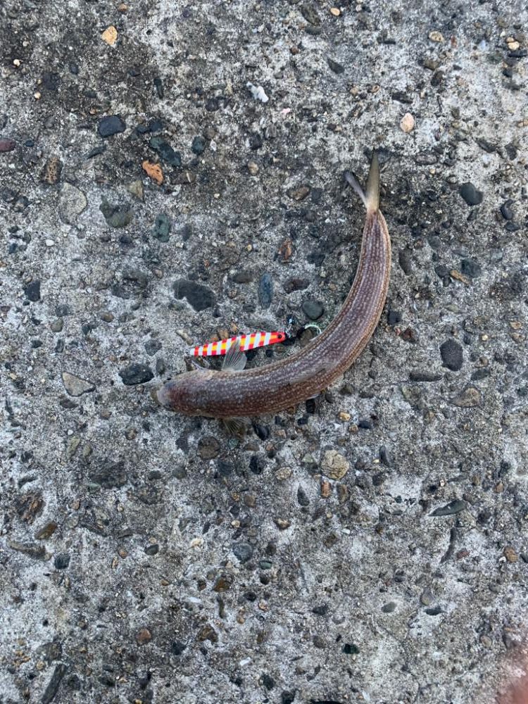 極限爆風漢気エソ