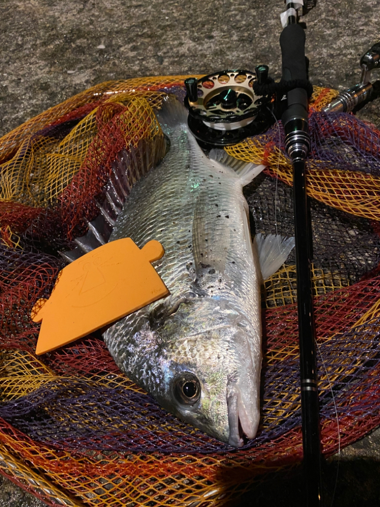 ヘチってきました