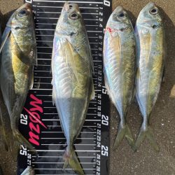 アジ・サバ祭り会場へ