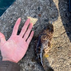 新兵器投入&釣り納め