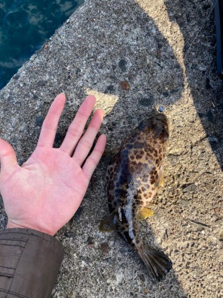 新兵器投入&釣り納め