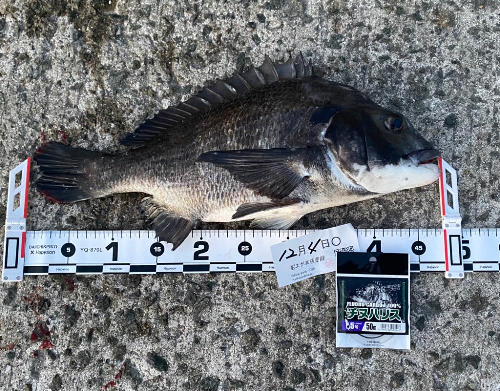 気温が下がり水温も下がり