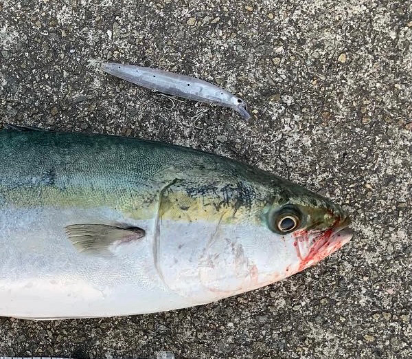 年内最後の釣行!
