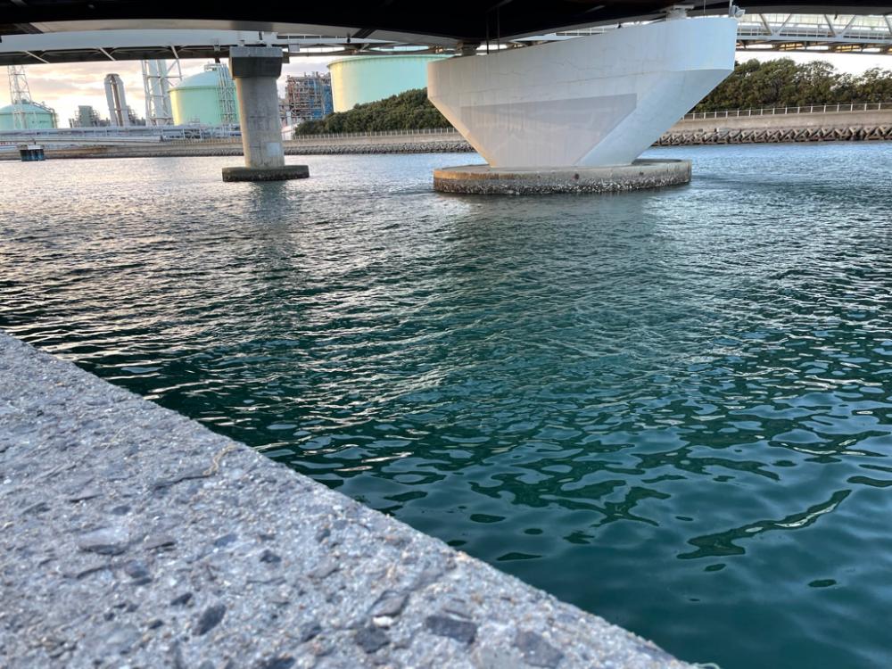 アジングに行きました