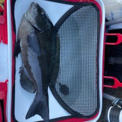 イガイガ根でフカセ釣り