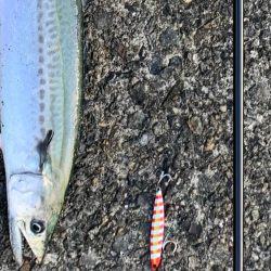 もう逃さないッ！