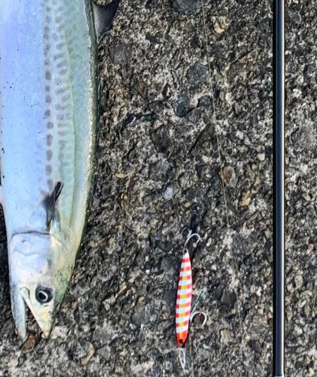 もう逃さないッ！