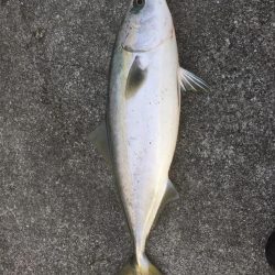 第10回雰囲気あります。