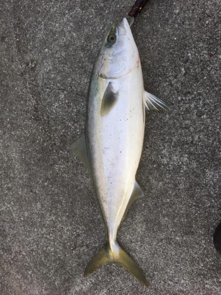 第10回雰囲気あります。