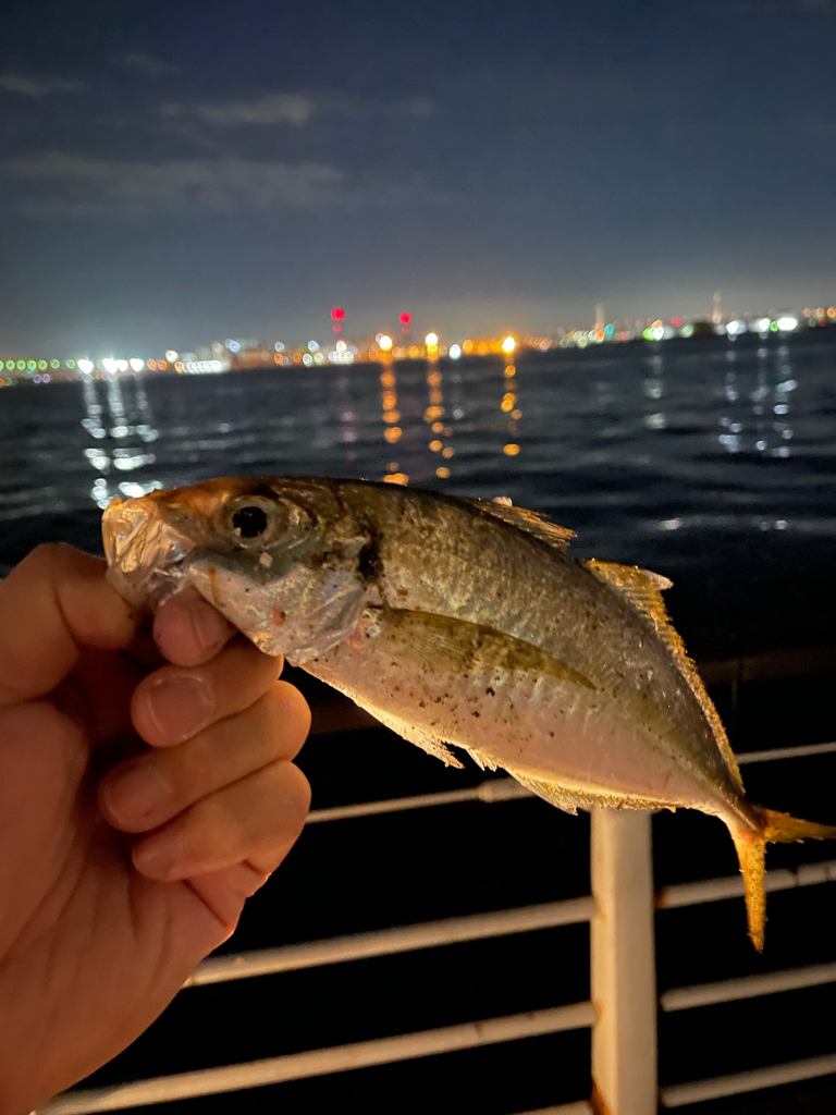 アジゲーサバゲー