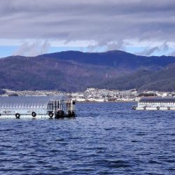 諏訪湖ワカサギ釣り！【第３戦】