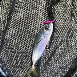 回遊待ちとレンジ合わせで激ムズアジング！イージーシェイカーは激熱！