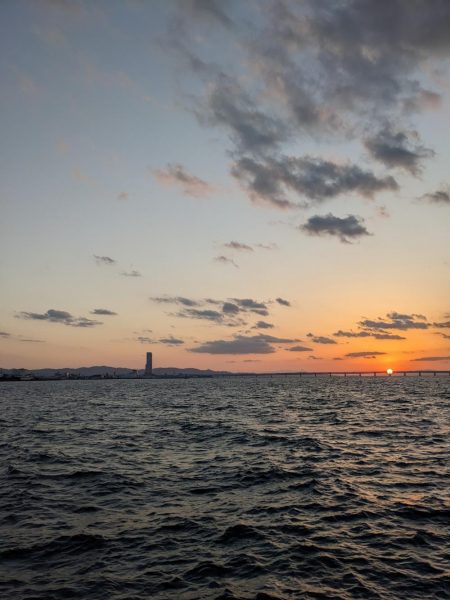 強風飲ませ釣り（ニョキニョキ）