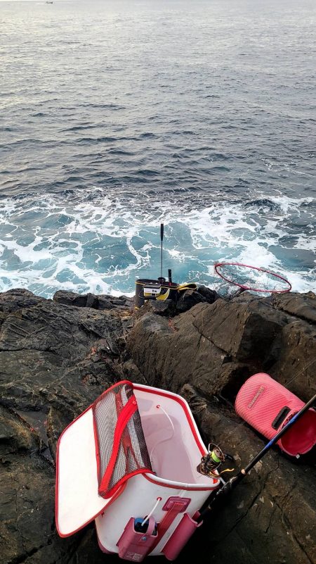 和歌山県釣連盟の俱楽部対抗に参加してきました