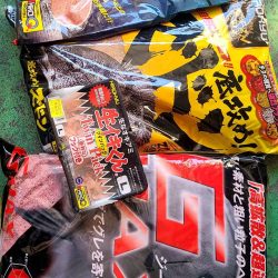 和歌山市江(吉丸渡船)で磯フカセ