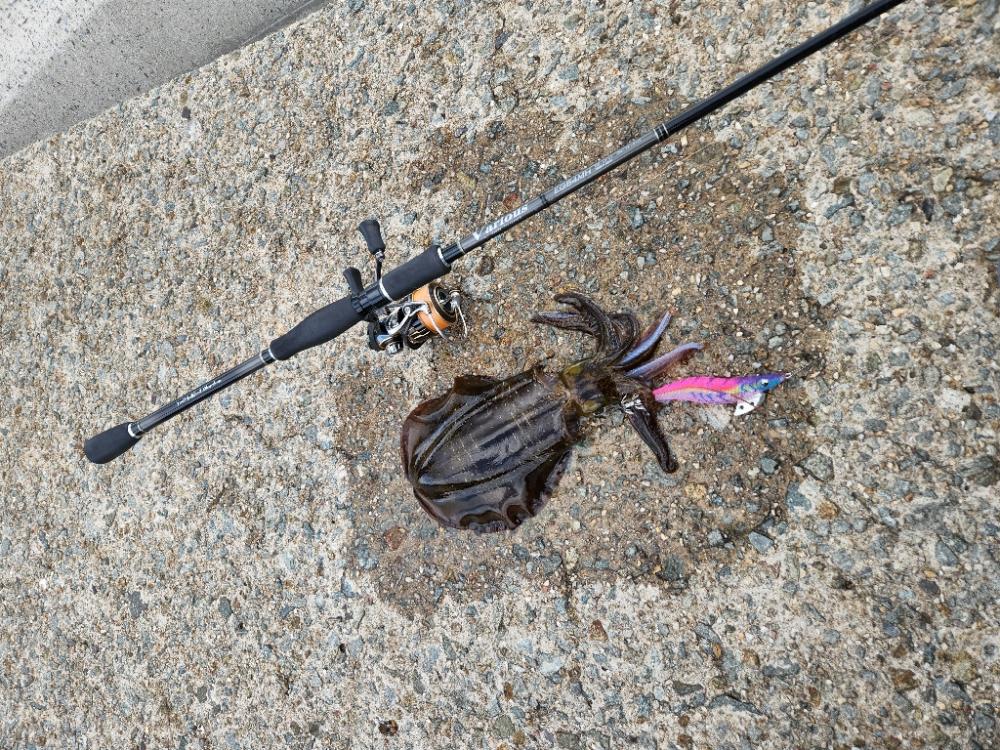 哀しみ本線日本海