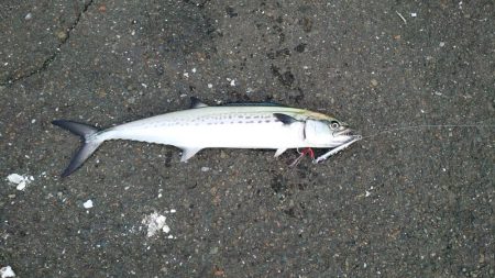 もう少し近ければ…