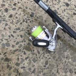 カマスの飲ませでメジロGET