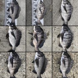 イチノ兄弟(兄)釣果!