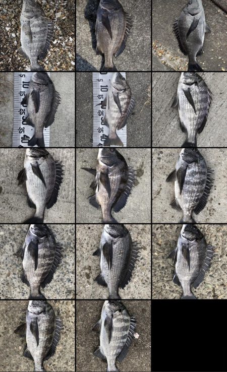 イチノ兄弟(兄)釣果!