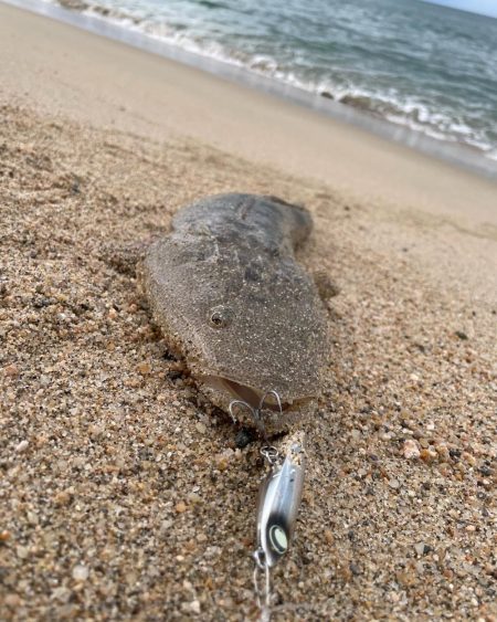 サーフナブラ打ち