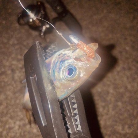 すっかりアジンガー