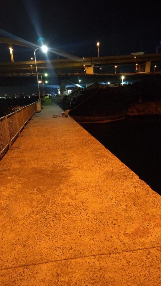 南港大橋でアジング