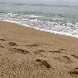 釣り納めシーバスボイル