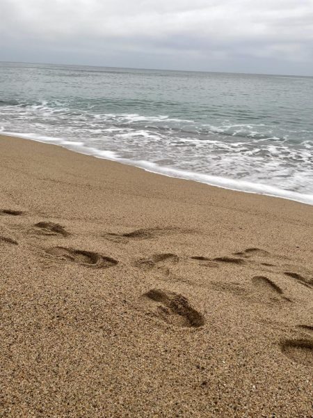 釣り納めシーバスボイル