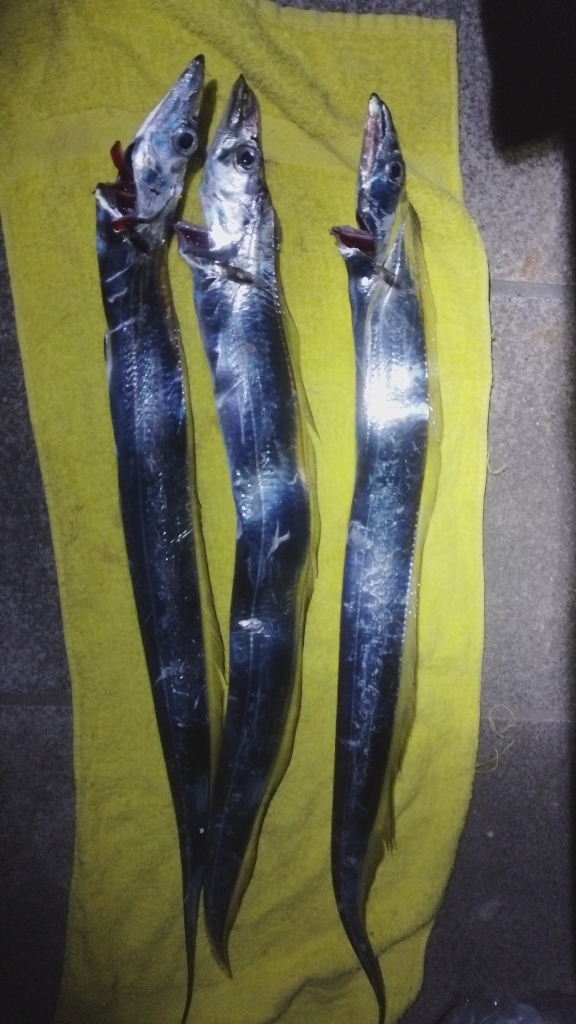 そういえば流星群