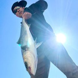 まん丸サゴシ大と鰤、メジロ