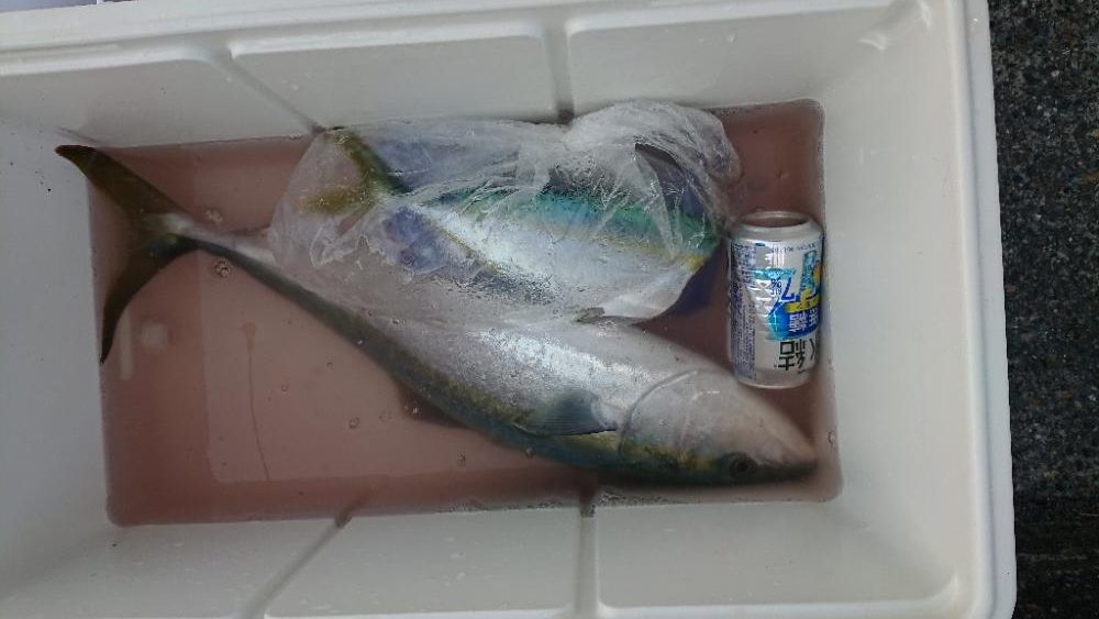 2022播磨遠征第5回