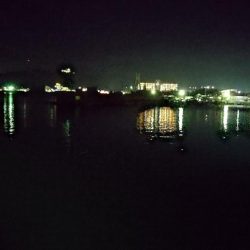 アジ探し@淡路島