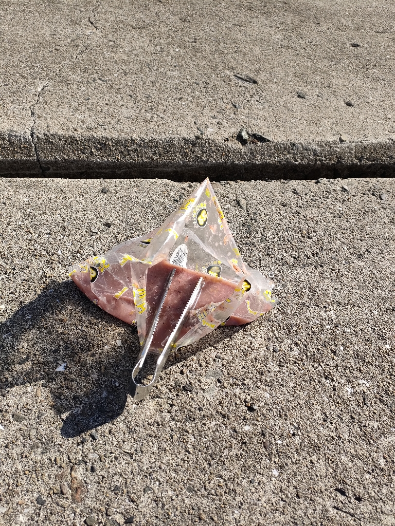 カンダイチャレンジ①