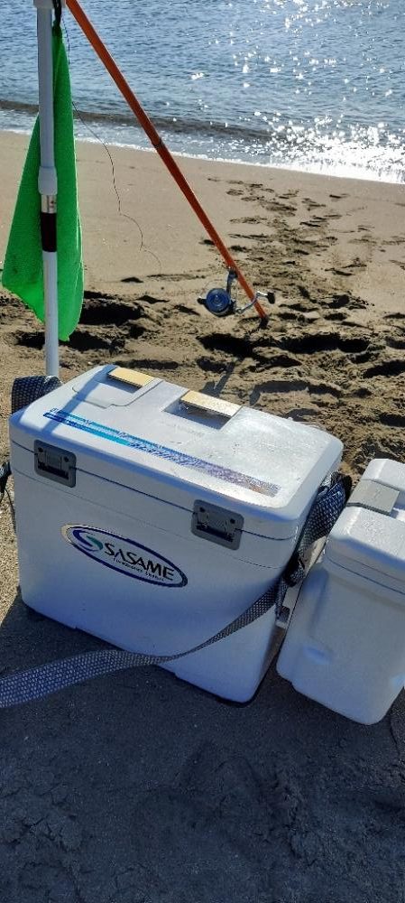 しつこくキス釣りへ