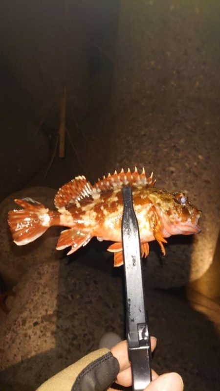 釣り納めの大失態