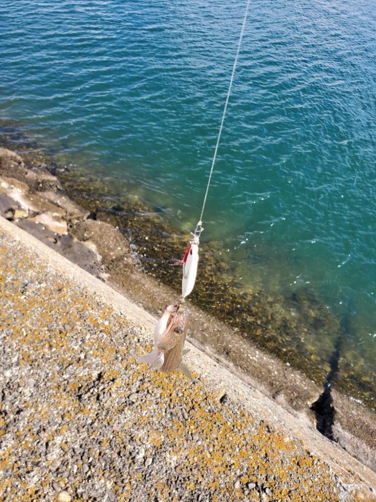 何も釣れないよりはマシ