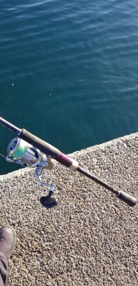 エギングロッドで軽量ジグ単アジング