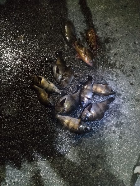 フロートメバリング