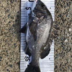 イチノ兄弟(兄)釣果!