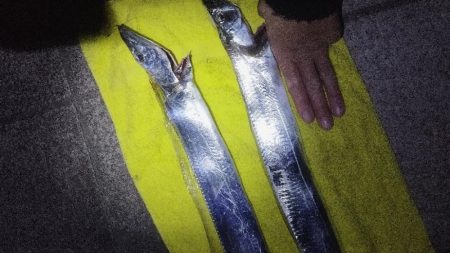 由々しきゴミ問題