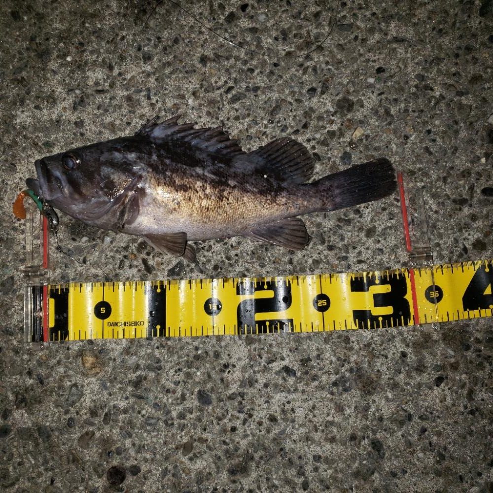 鬼渋だねスズキさん!