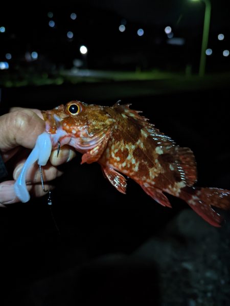 陸っぱり釣行記