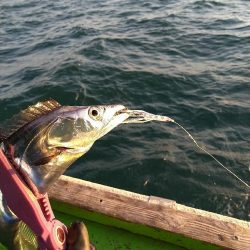 タチウオ狙い☆タチウオテンヤと🎵