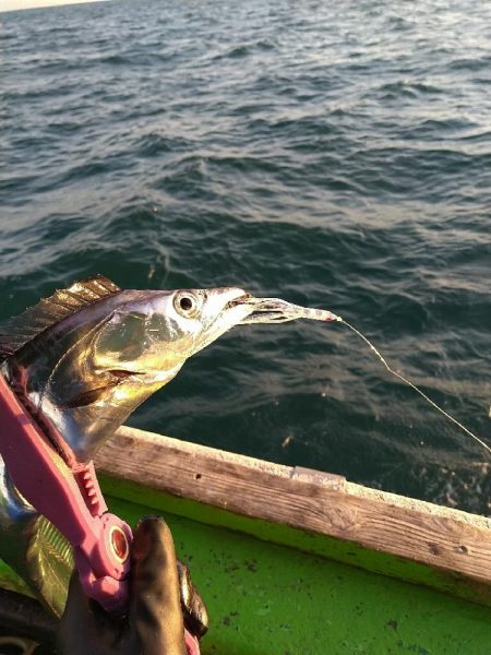タチウオ狙い☆タチウオテンヤと🎵