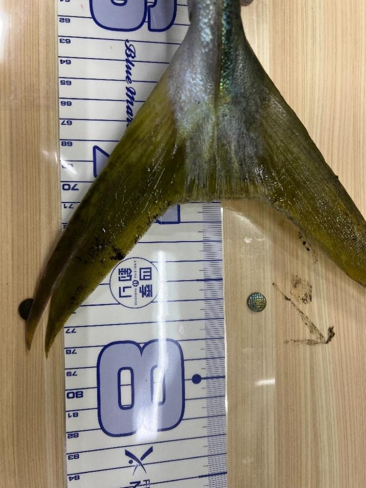 ひゃあぁ～！すっご～～いっ！！大人になった初体験。