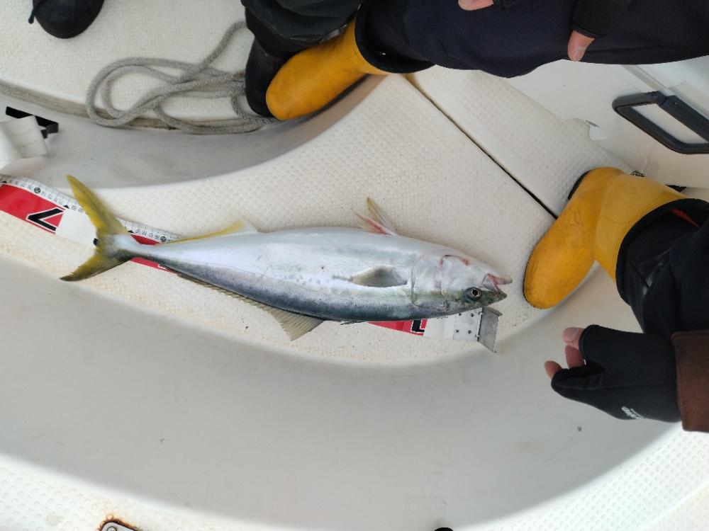 レンタルボート釣り