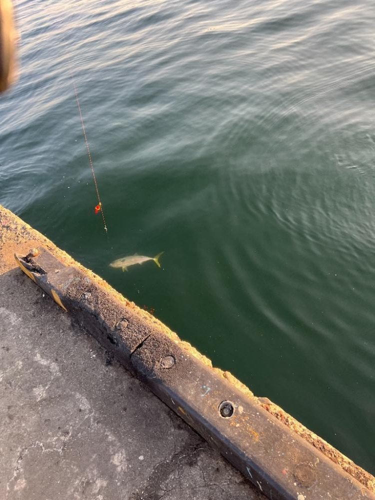 絶叫！さぁ～きて・・最高よ～!!たまんないわぁ～！！！