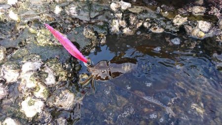 遂に対馬が選択できる！！