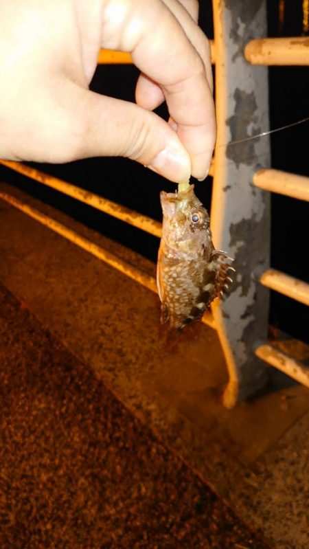 毎回同じ様にはならない